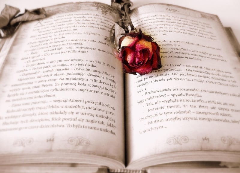 Magical Book Nook
