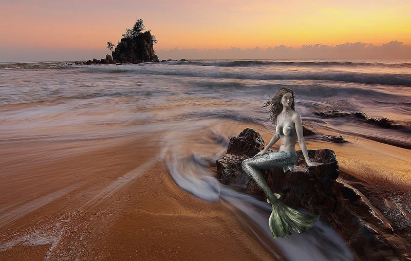 Modern Mermaid Silhouette